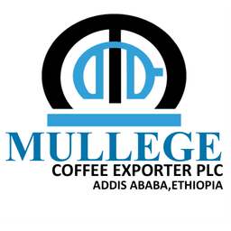 Mullege Coffee Exporter